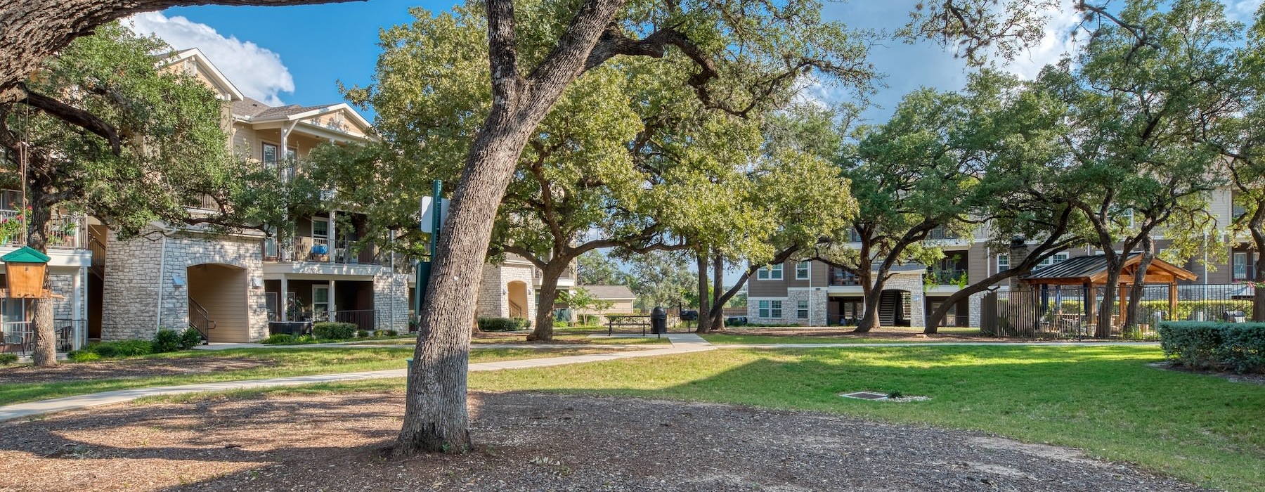 a tree in a courtyard with buildings and walkways